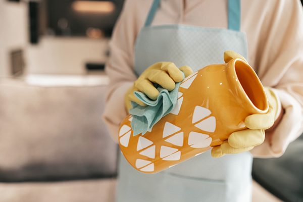 Mersin Temizlik Şirketleri